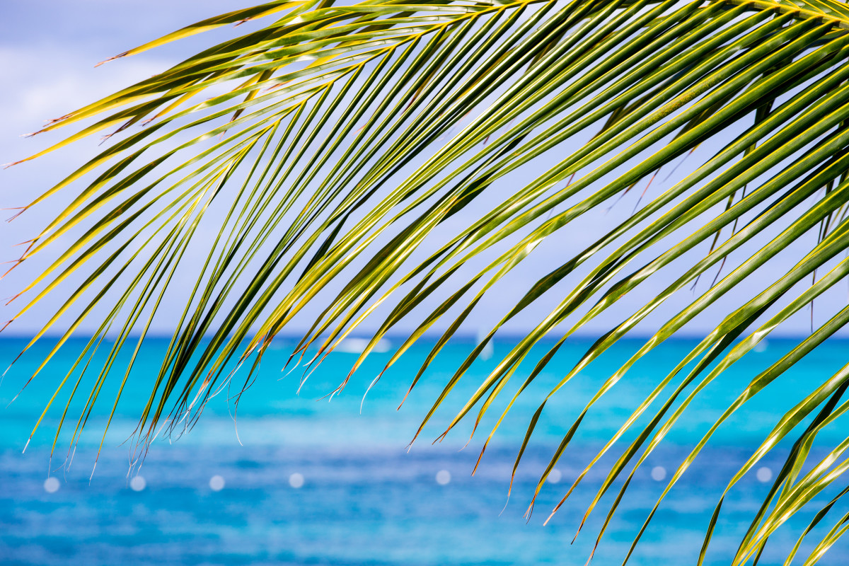 GraceBay-8